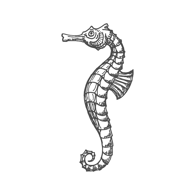 Nautical seahorse isolated underwater animal icon