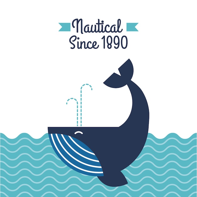 Nautical whale in ocean wildlife aquatic