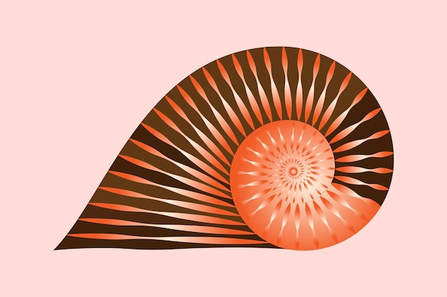Nautilusschelp symbool. Getextureerde nautilusschelp. vector illustratie