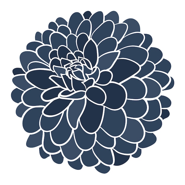 Vector navyblushlucydahlias