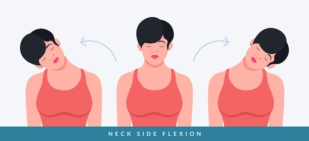 Vector neck side flexion exercises women doing fitness exercises