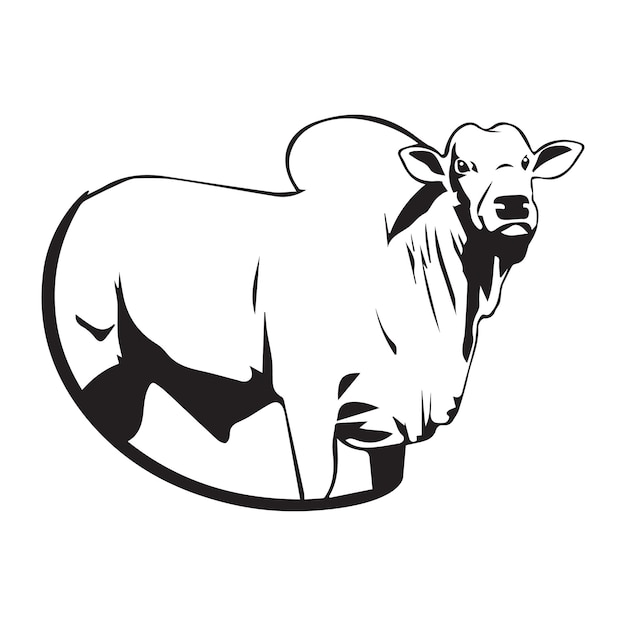 Nelore cattle vector