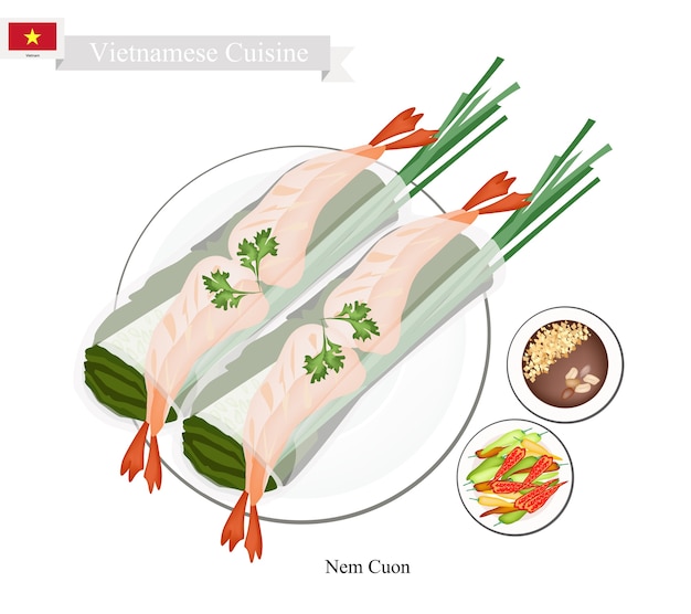 벡터 nem cuon 또는 베트남 전통 스프링 롤