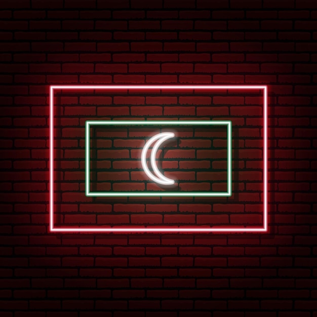 Insegna al neon sotto forma di bandiera delle maldive. sullo sfondo di un muro di mattoni con un'ombra. per la progettazione di temi turistici o patriottici. colori rosso verde bianco.