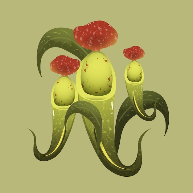 Vector nepenthes flower vector art