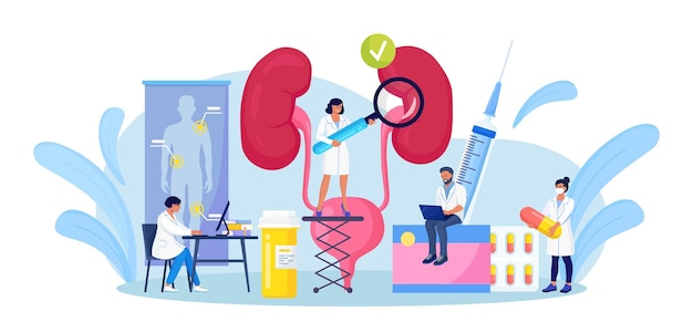 Nephrology, Urology. Tiny Doctors Doing Medical Research, Examination, Check of Health. Urinary Tract Infection, Renal Failure, Cystitis, Pyelonephritis. Kidney and Bladder Diseases Treatment