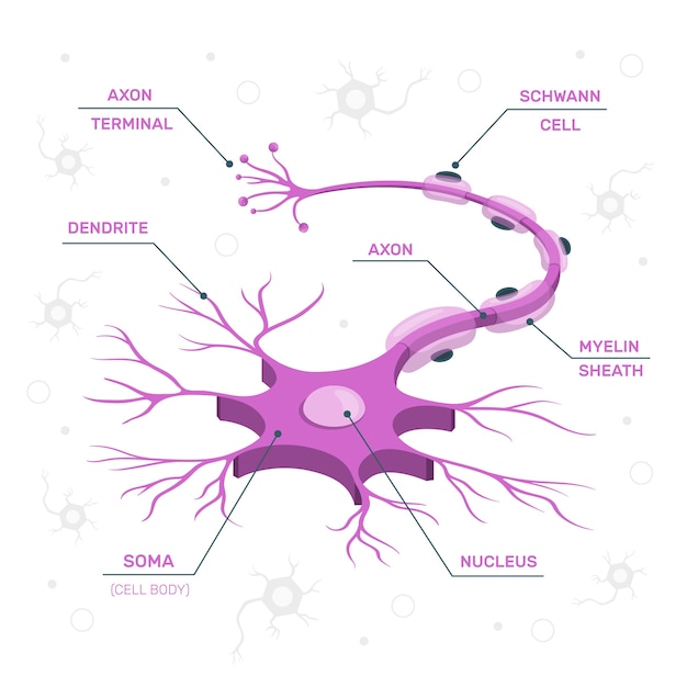 nerve cell concept illustration