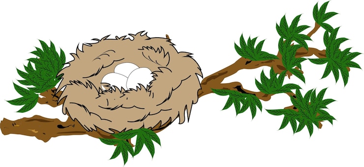 Vector nest on branch with eggs