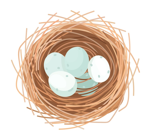 Nest met blauwe eieren bovenkant vector geïsoleerde illustratie