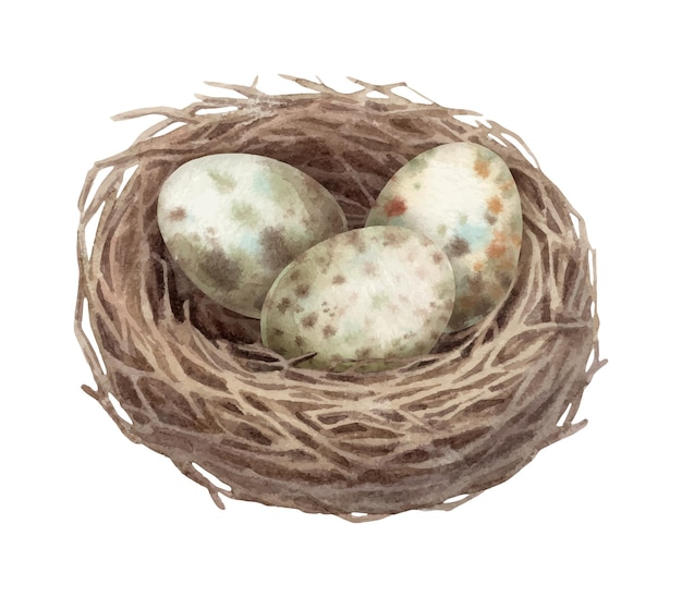 Nest met kwartel gevlekte ei in waterverf vintage stijl bruin hout vogel thuis met de hand getekende lente