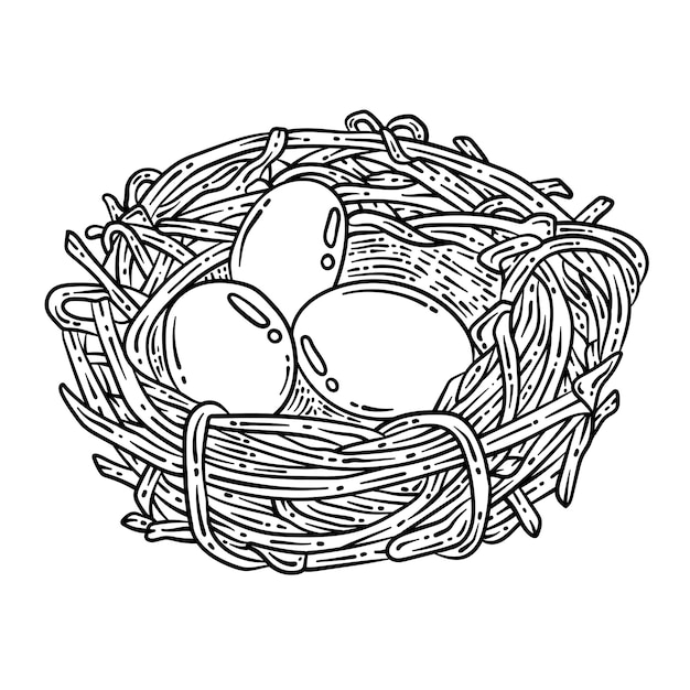 Nest With Eggs Spring Coloring Page for Adults