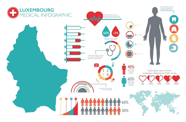 Инфографический шаблон медицинского здравоохранения нидерландов с картой и несколькими диаграммами
