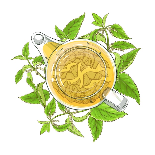 Vector nettle tea illustration