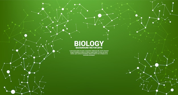 Netwerklijn verbindend puntmolecuul op groene achtergrond. concept van biologiechemie en wetenschap.