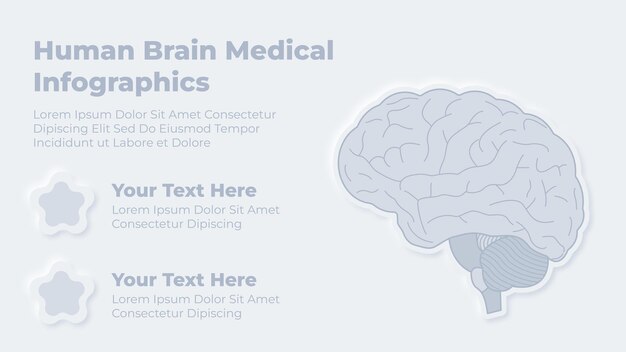 Vector neumorphic medical health care and human brain infographic presentation template