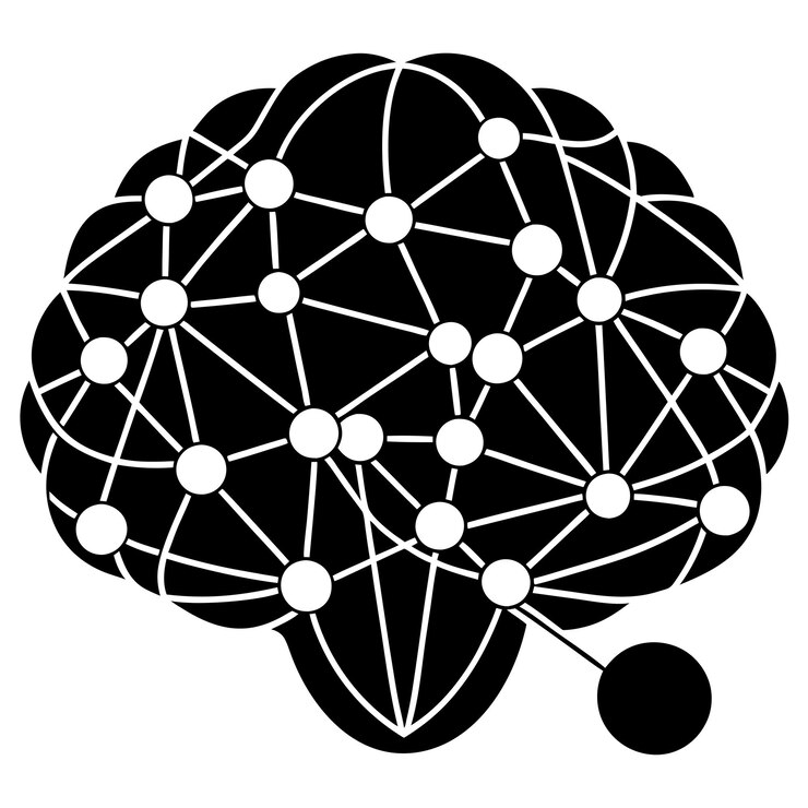 Vector neural network brain connection pattern