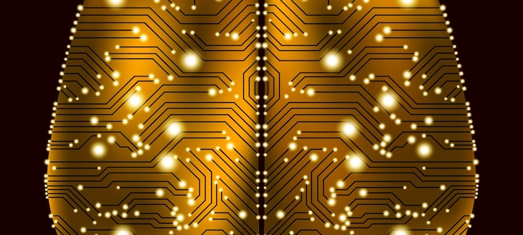 Vector neural networks in cyber mind concept