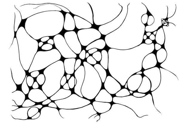신경학 라인 스케치 벡터 일러스트 레이 션 추상 혼란 물결 모양의 곡선 패턴 손으로 그린 흑백 neuroart