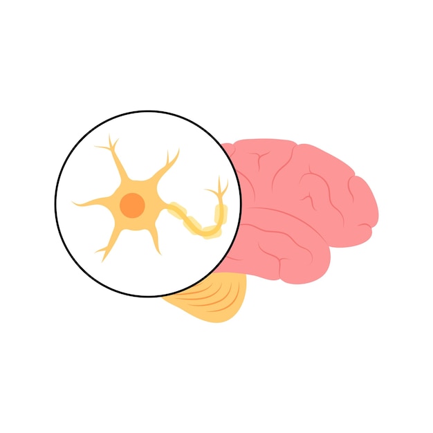 Neuron anatomy poster