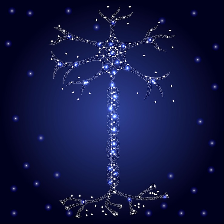 Vector neuron stars dots 1