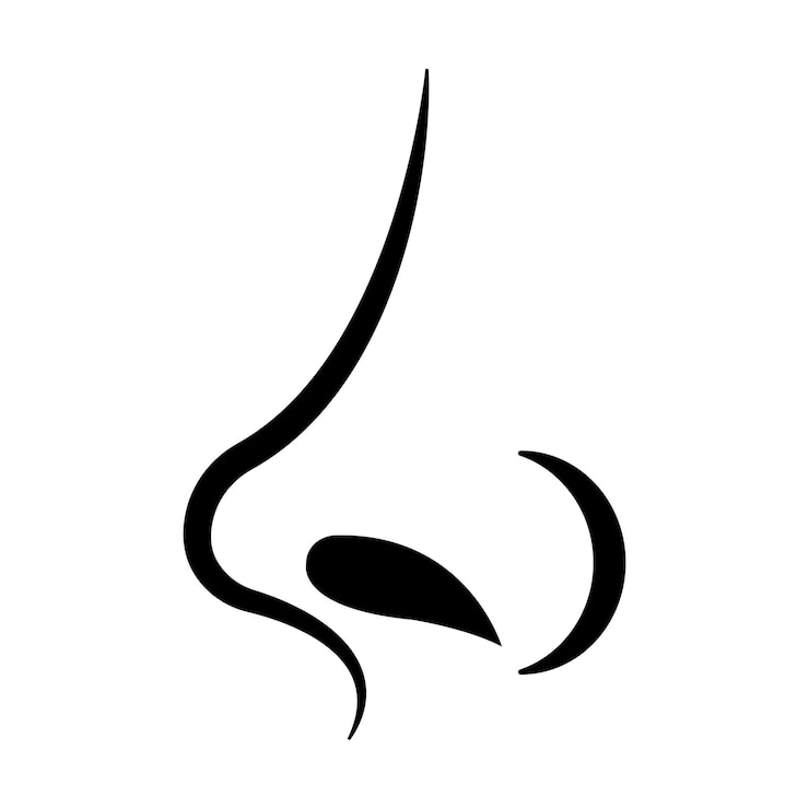 Vector neus iconlogo illustratie ontwerpsjabloon