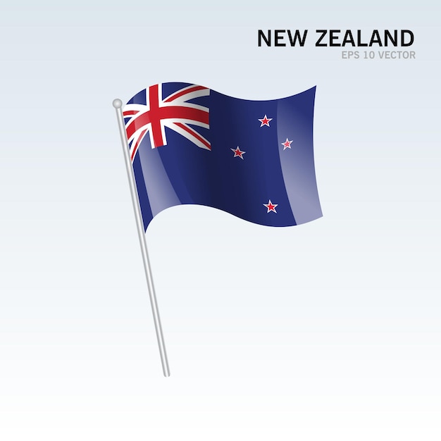 New Zealand waving flag isolated on gray