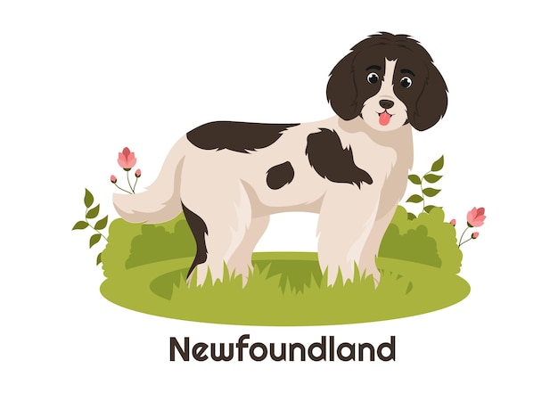 Vector newfoundland hond dieren met zwart bruin of landseer kleur in vlakke stijl cartoon afbeelding