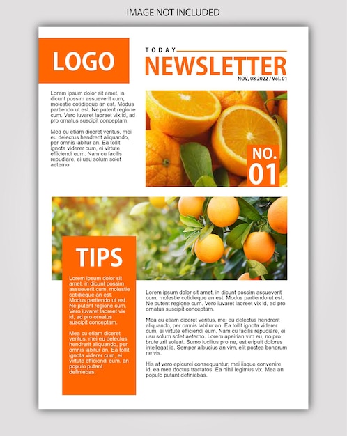 Vector newsletter fruit blog template