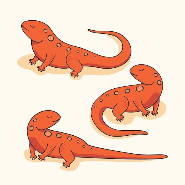 Newt salamander cartoon amfibieën reptielen