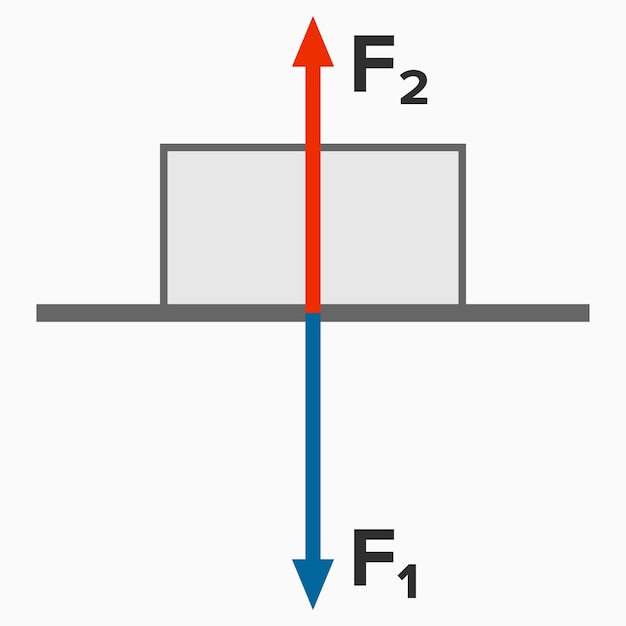 Vector newton's third law