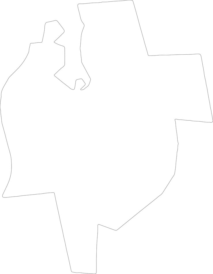 Vector nicas latvia outline map