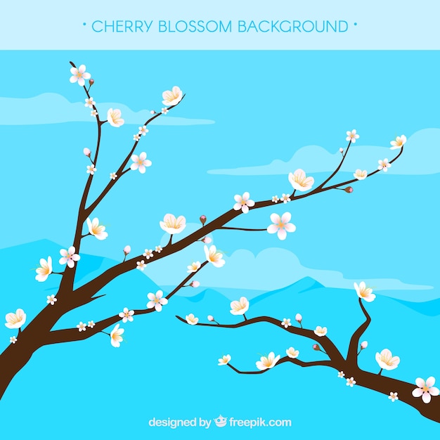 Vector nice cherry blossom background in flat design