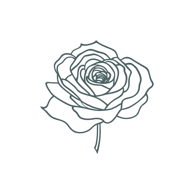 Nice Roses Line art Vector Roses Coloring book