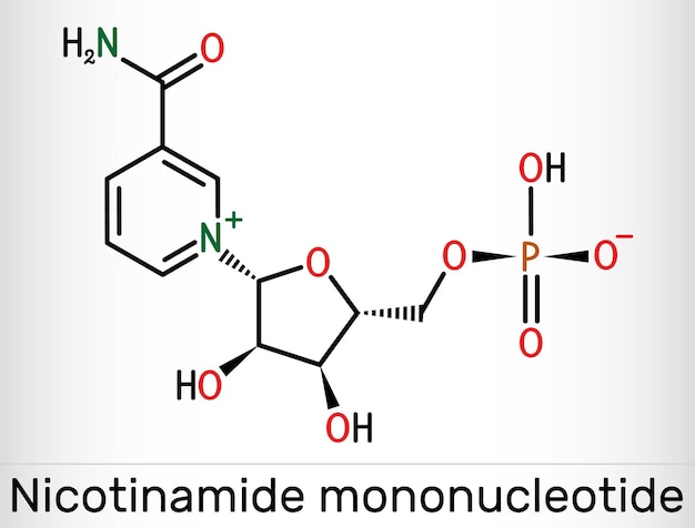 Vector nicotinamide mononucleotide nmn molecule skeletal chemical formula