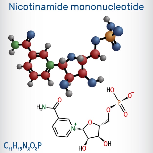 Nicotinamide mononucleotide NMN-molecule Structurele chemische formule molecuulmodel