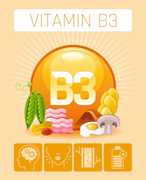 Nicotinezuur vitamine b3 rijke voedselpictogrammen met menselijk voordeel. gezond eten platte pictogramserie. dieet infographic grafiek poster met spek, erwten, lever, brood.