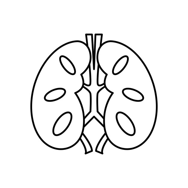 Nieren lijn vector illustratie
