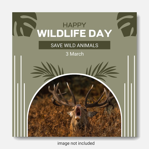 Nieuwe happy wildlife day social media post wildlife banner design sjabloon.