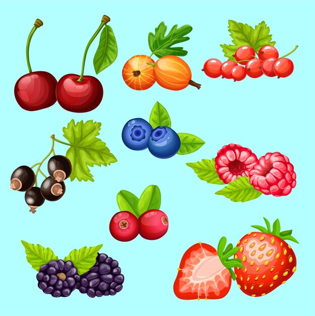 Nieuwe sappige kleurrijke bessen set voor etiketontwerp Illustratie voor kookboek of menu