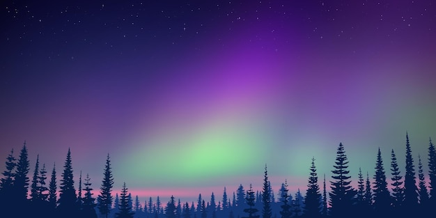 Vector nieuwjaarslandschap, aurora borealis, bos en zonsonderganglicht, vectorillustratie