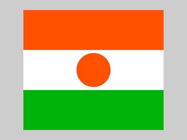 Niger flag official colors and proportion Vector illustration