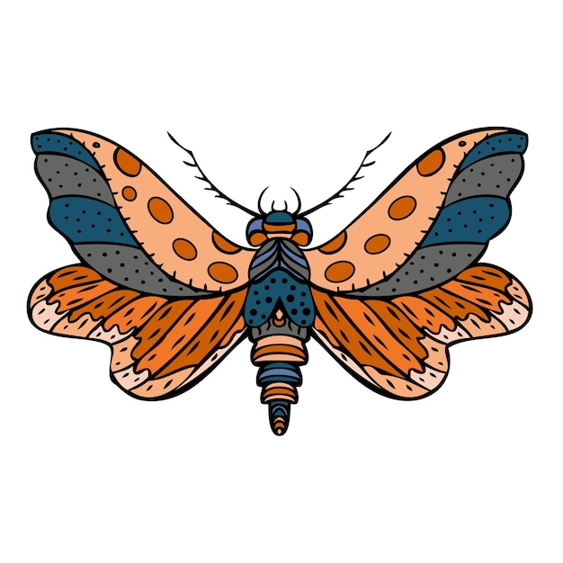 Night butterfly moth Hand drawn vector illustration