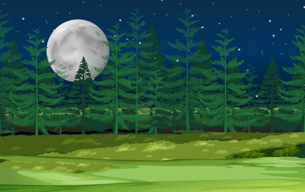 A night forest landscape