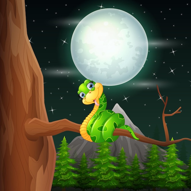 Night landscape with a green snake on tree