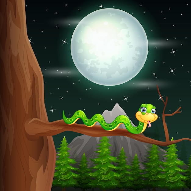 Night landscape with a green snake on tree