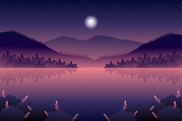 Vector night landscape with sea and sky illustration