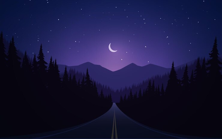 Vector night scene at empty road with forest and mountain