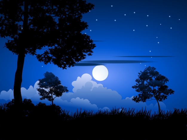 Vector night scene in forest