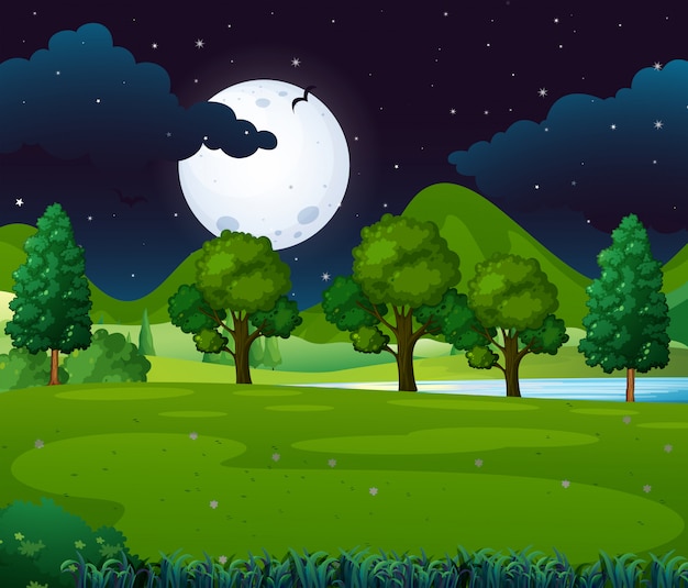 Night scene with fullmoon in the park