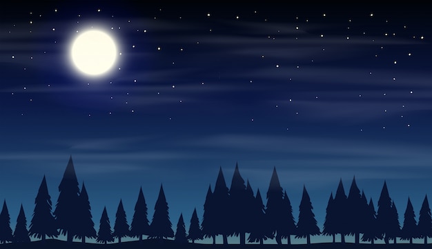 night scene with silhouette woods